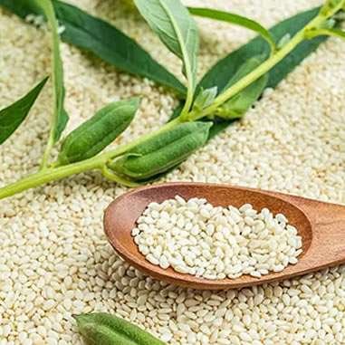 Premium sesame seeds